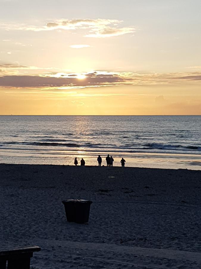 B&B Duinroos De Koog - Texel Экстерьер фото